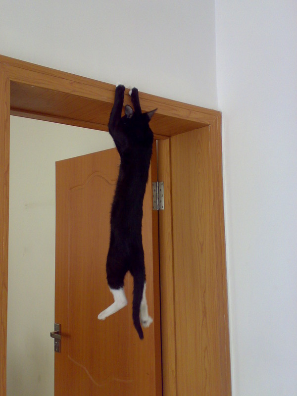 ��������û��������������