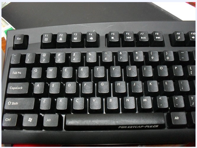 20002.jpg
