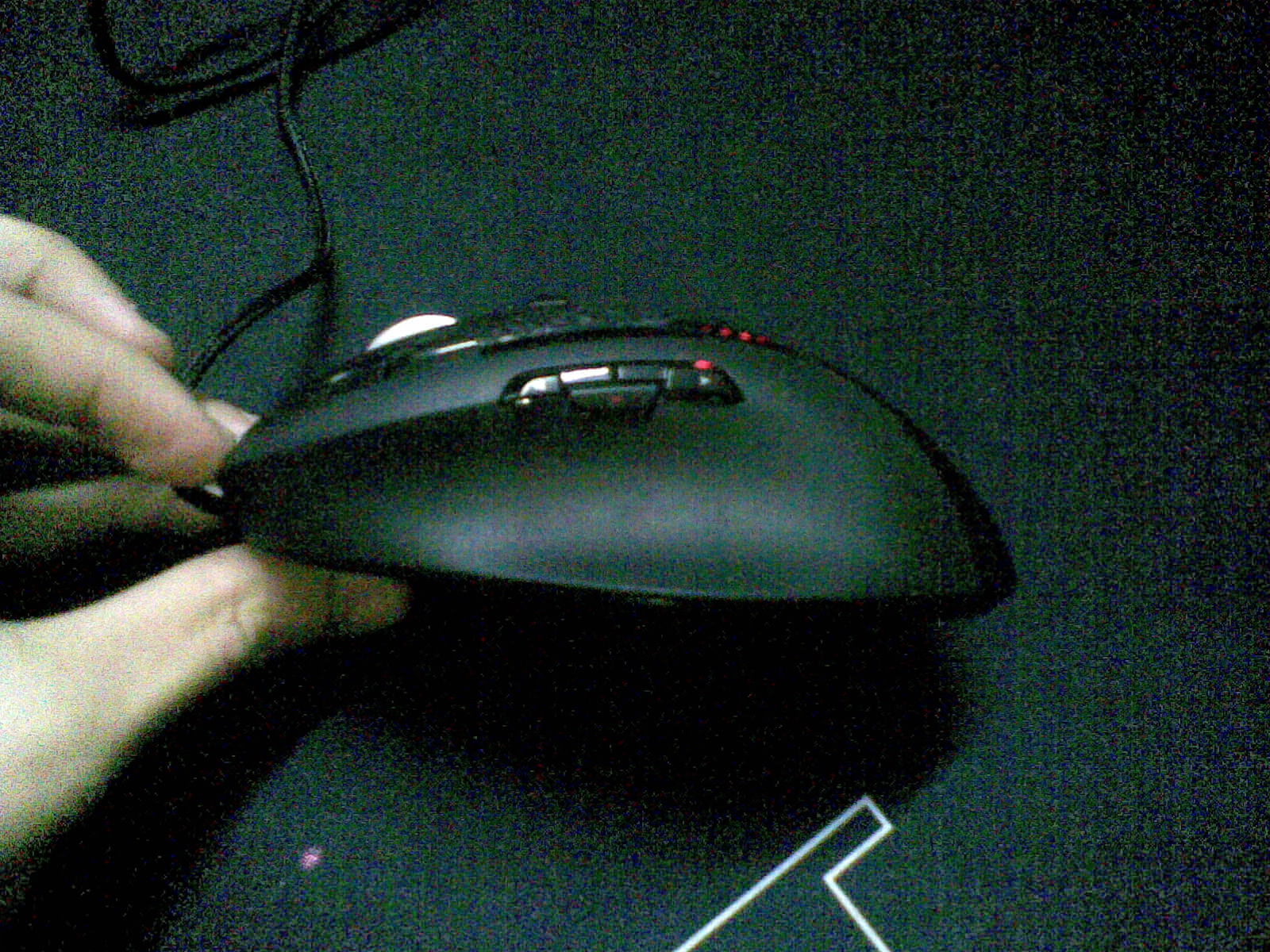 20101205(005).jpg
