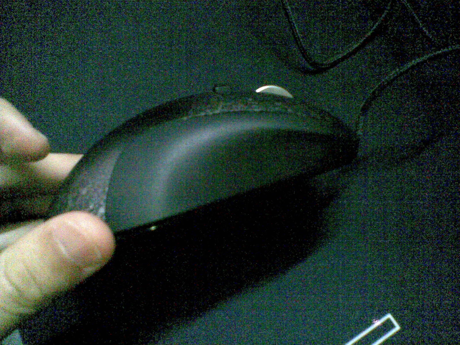 20101205(006).jpg