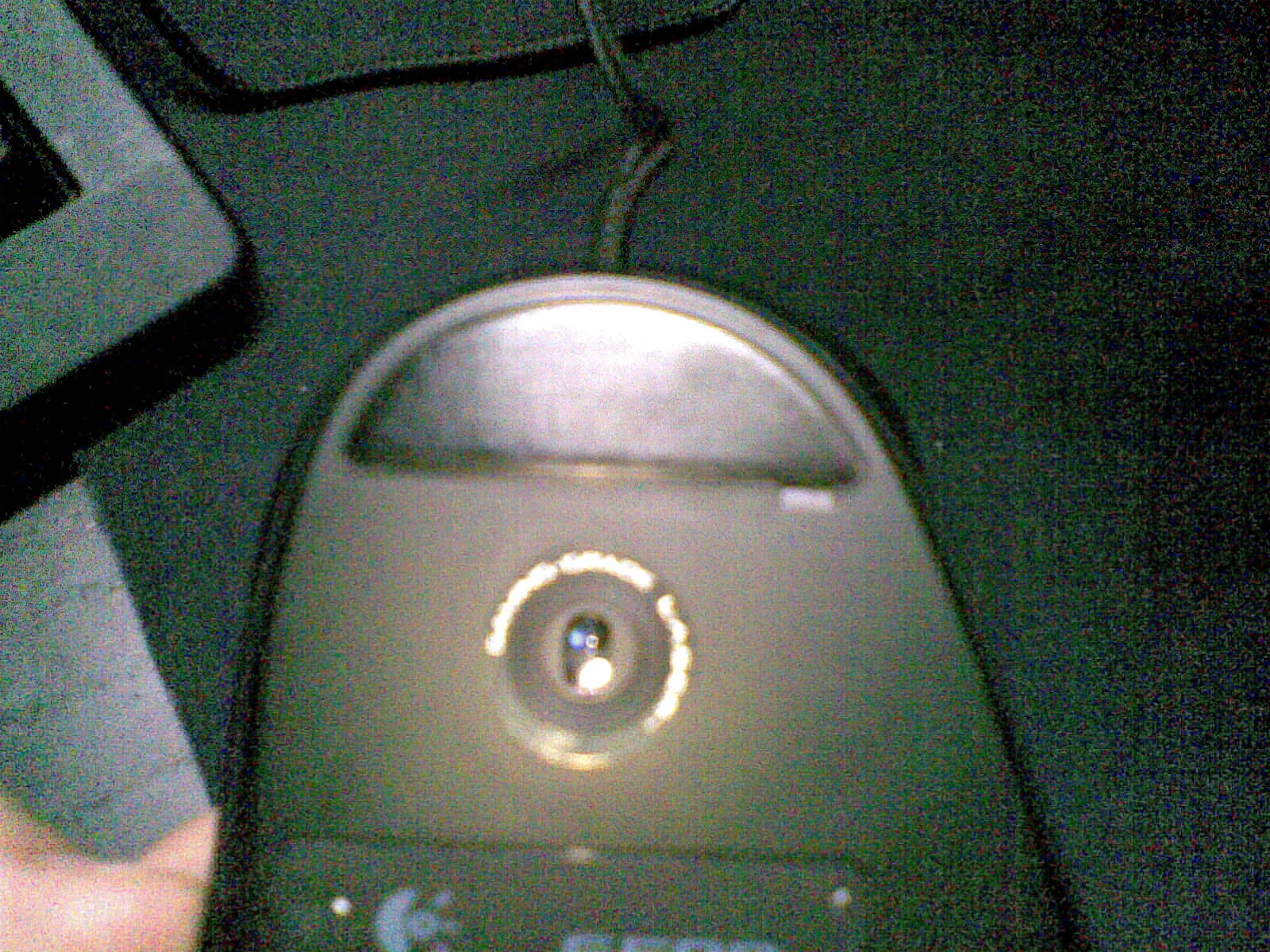 20101205(009).jpg