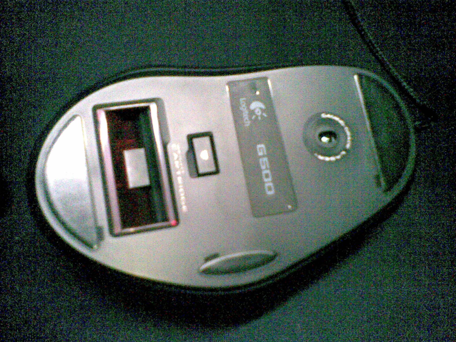 20101205(002).jpg
