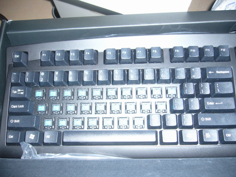 3.JPG