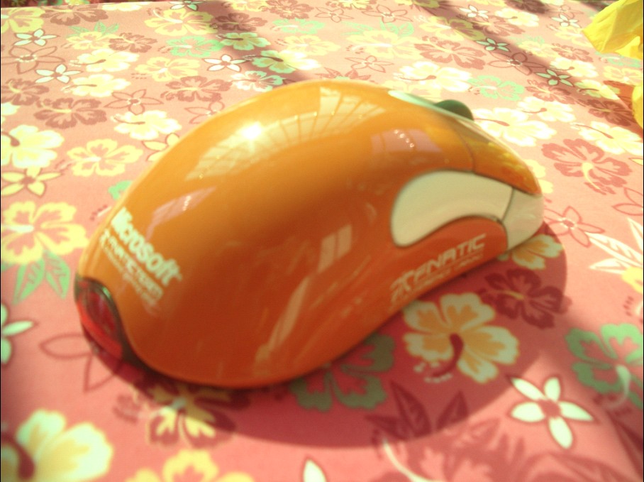 c.jpg