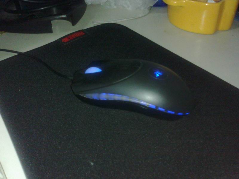 20101208095.jpg