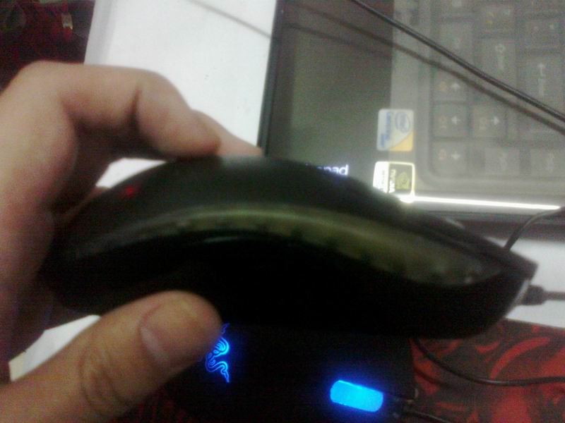 20101208100.jpg