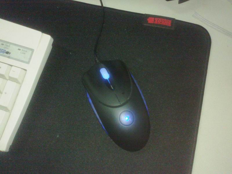 20101208094.jpg