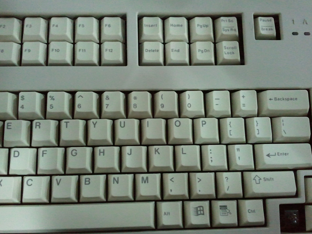 2010-12-09 12.25.20.jpg