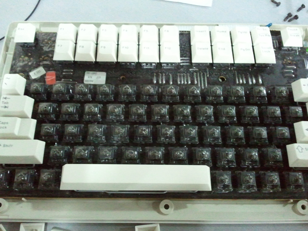 �ε���������ñ��Ĥ���Ǻ������ģ�������������Ҷ�