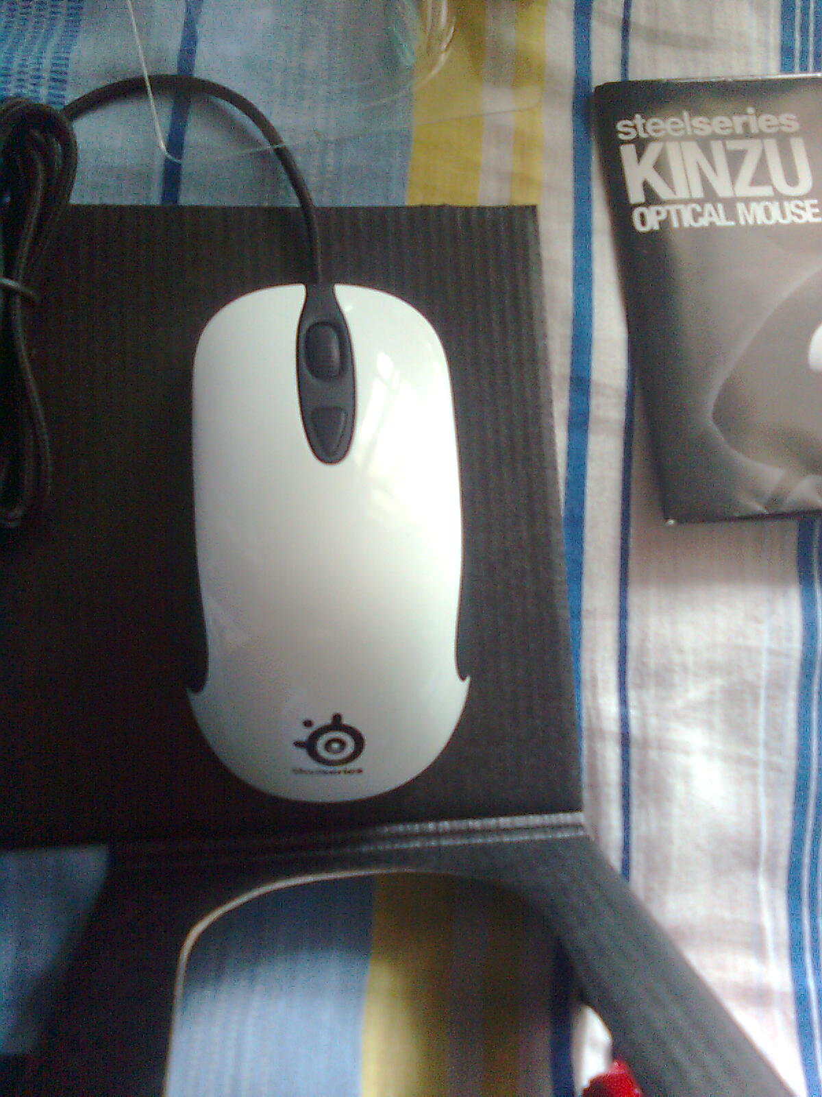 ����������KINZU��