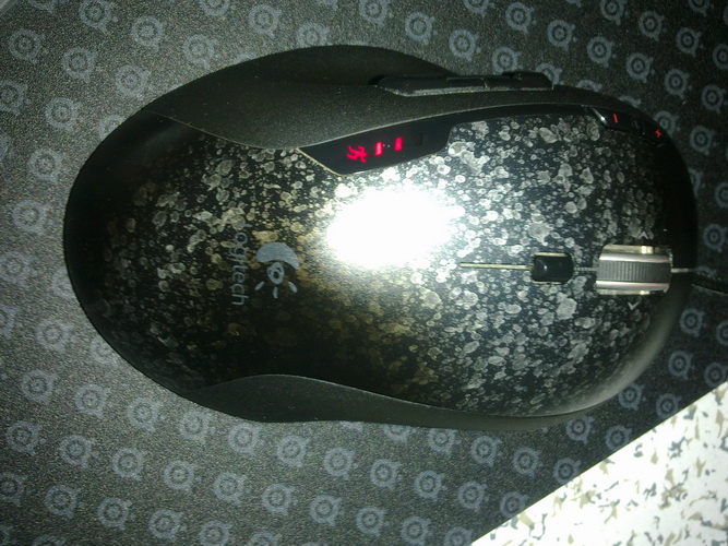20101210031_������С.jpg