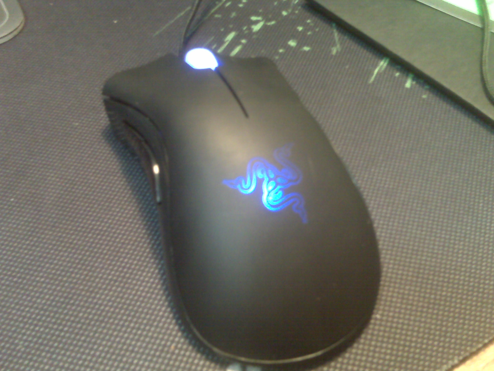 IMG00207.jpg