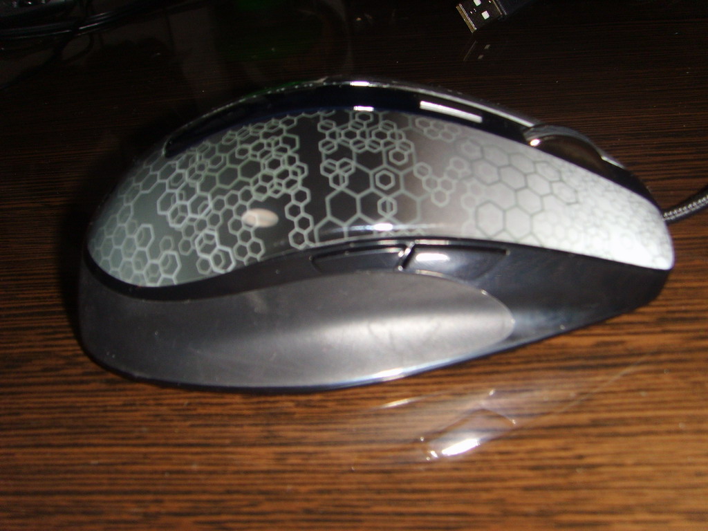 SSL23921.JPG