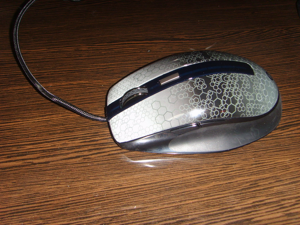 5.JPG
