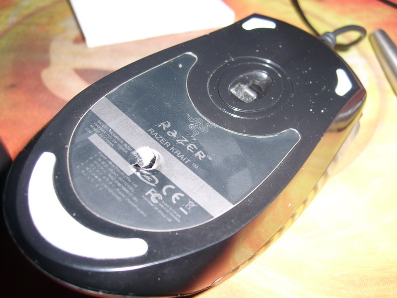 SL270945.jpg