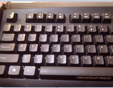 plu����290                         95��