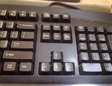 plu����290                         95��