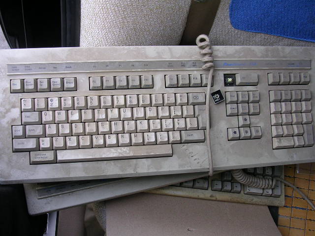 0907211500f3d4797180c3b9de.jpg