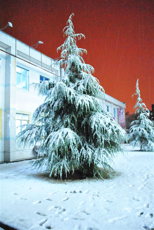 ��ѩ�ˣ���ѩ�ˣ���ѩ�ˣ�