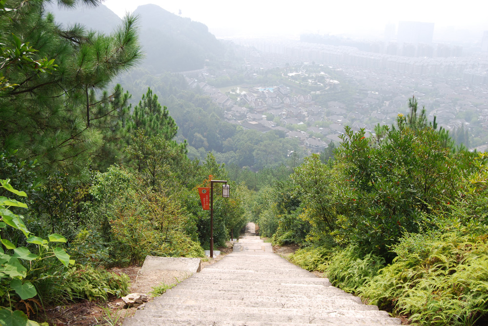 Ϊʲô�����ˣ���555