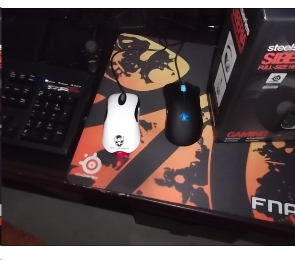 41.jpg