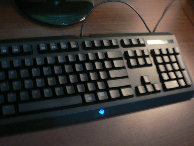 P1080653.JPG