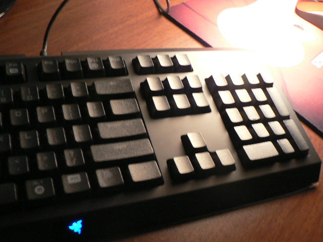 P1080646.JPG