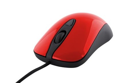 �����羺����  ʥ�������