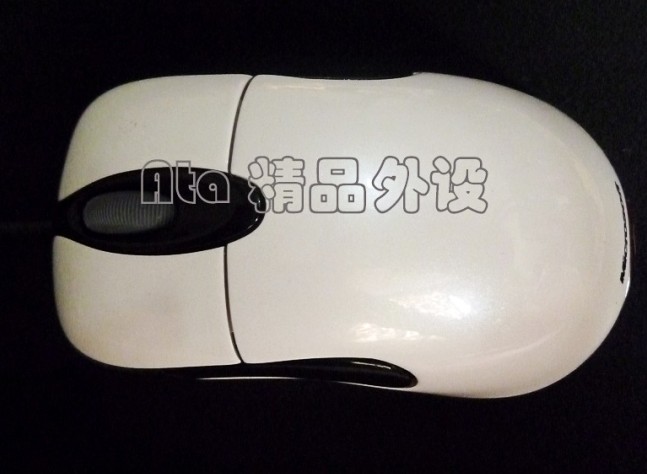 �� ȫ�½�TT���� �����IOSK  IE ������