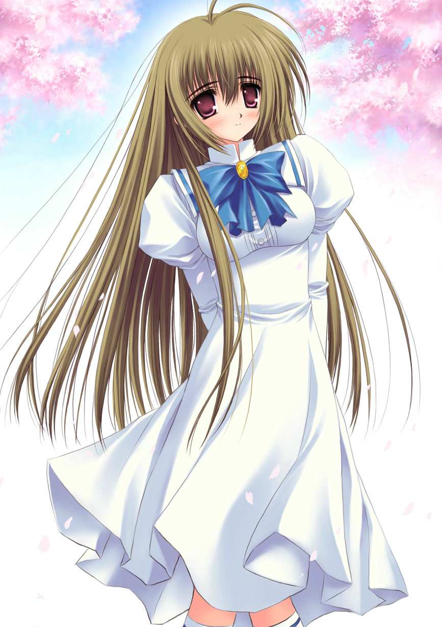 ������ô���ϲ�����̳