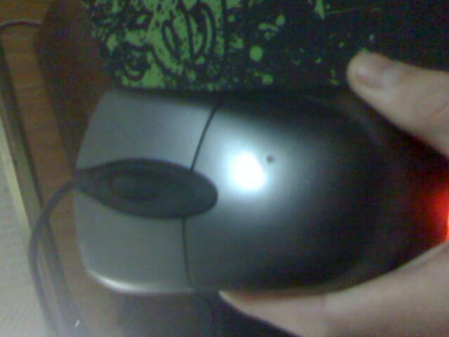 IMG1222183301.jpg