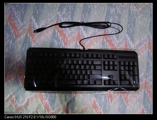 nEO_IMG_IMG_0451.jpg