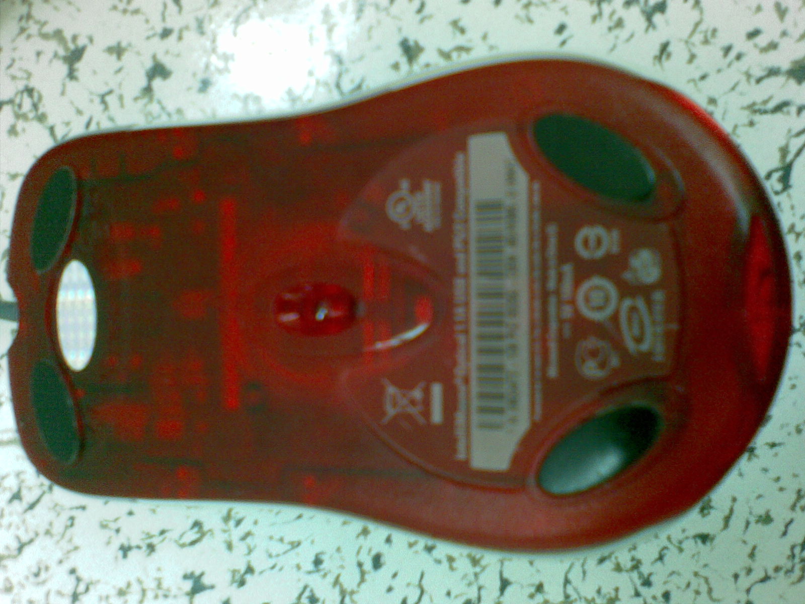 20101223_004.jpg