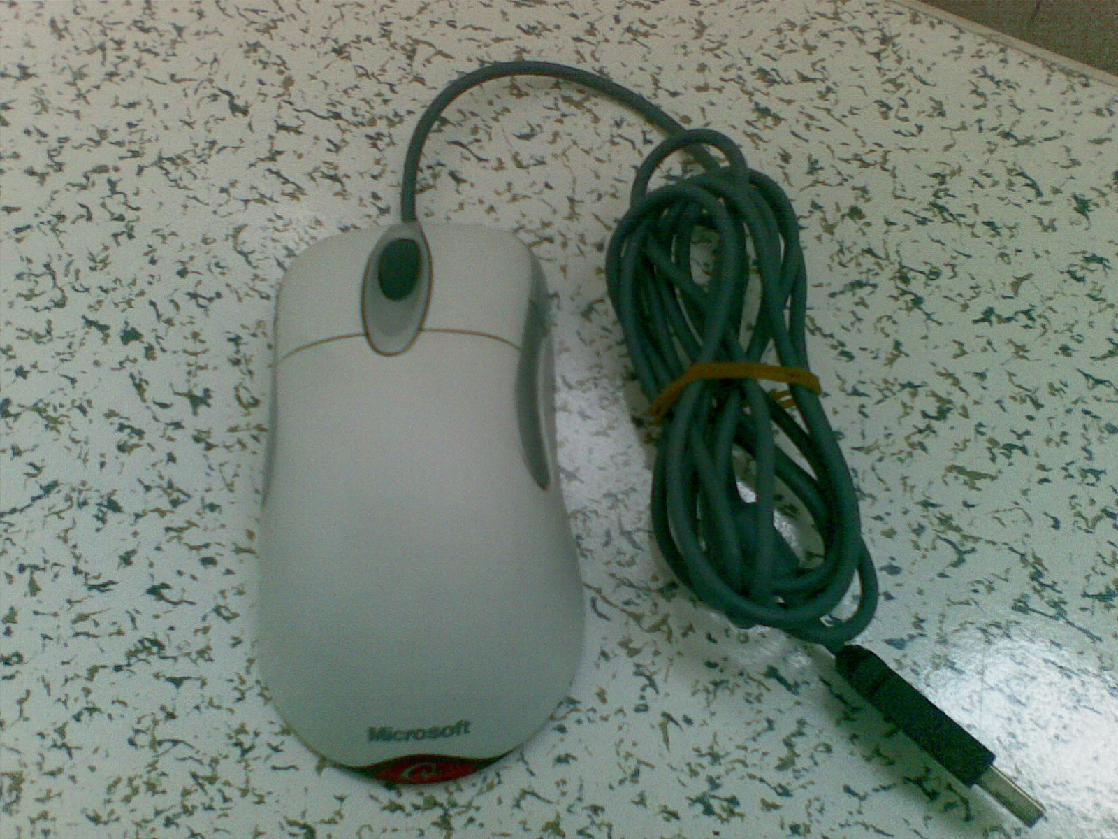 20101223_003.jpg