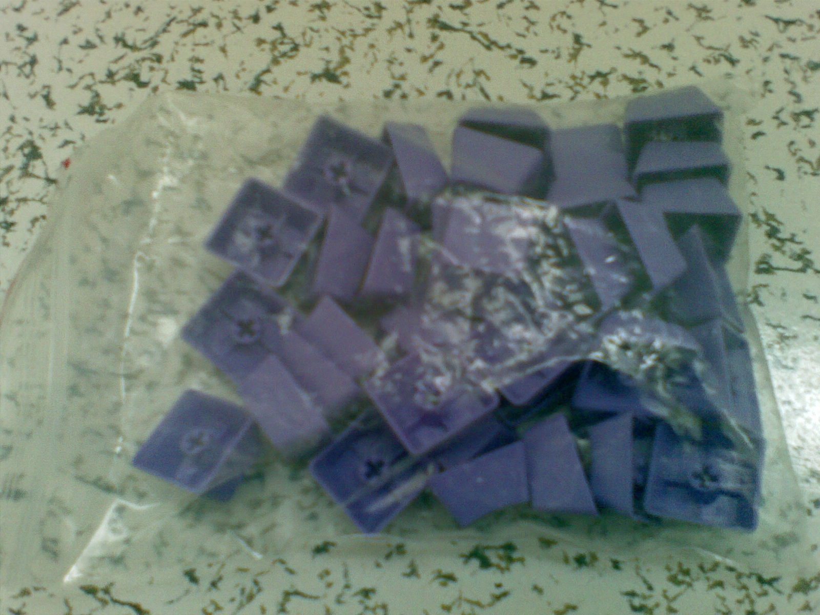 20101223_002.jpg