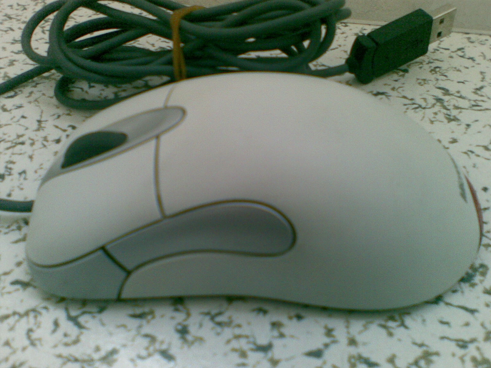 20101223_005.jpg