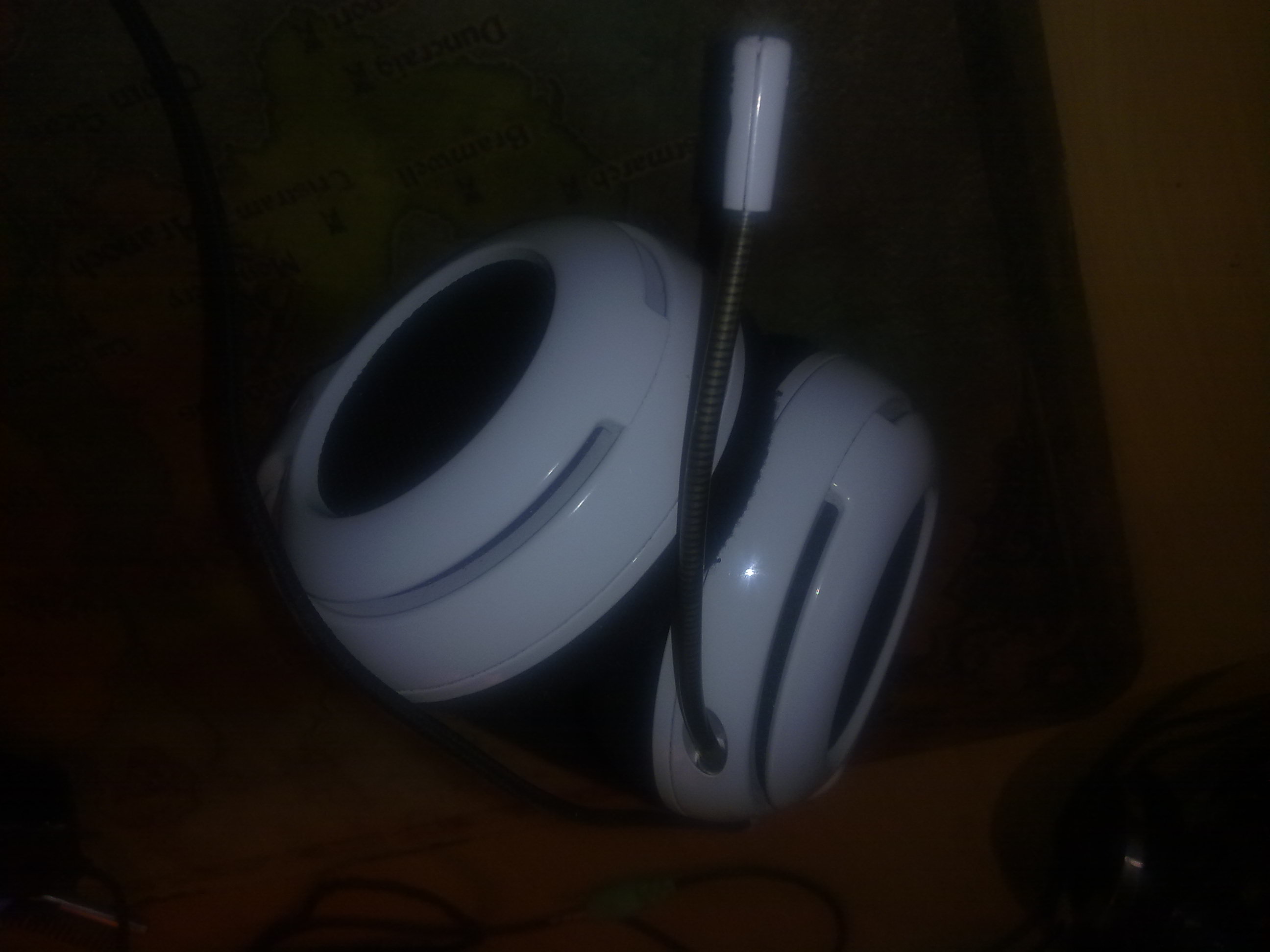 20101224003.jpg