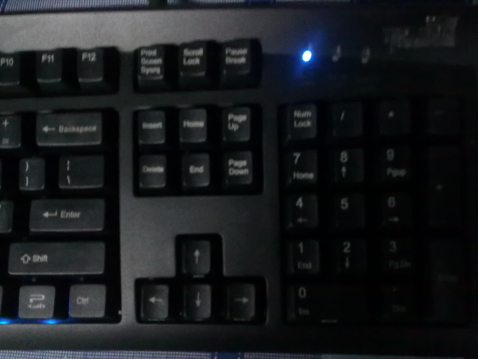 20101226002.jpg
