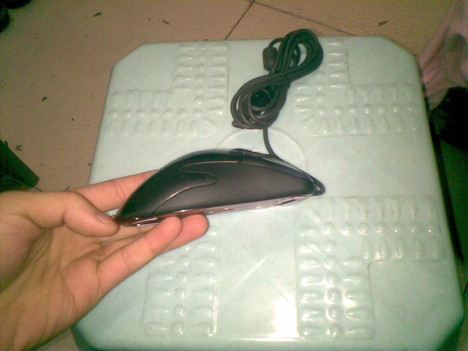 20101226(004).jpg