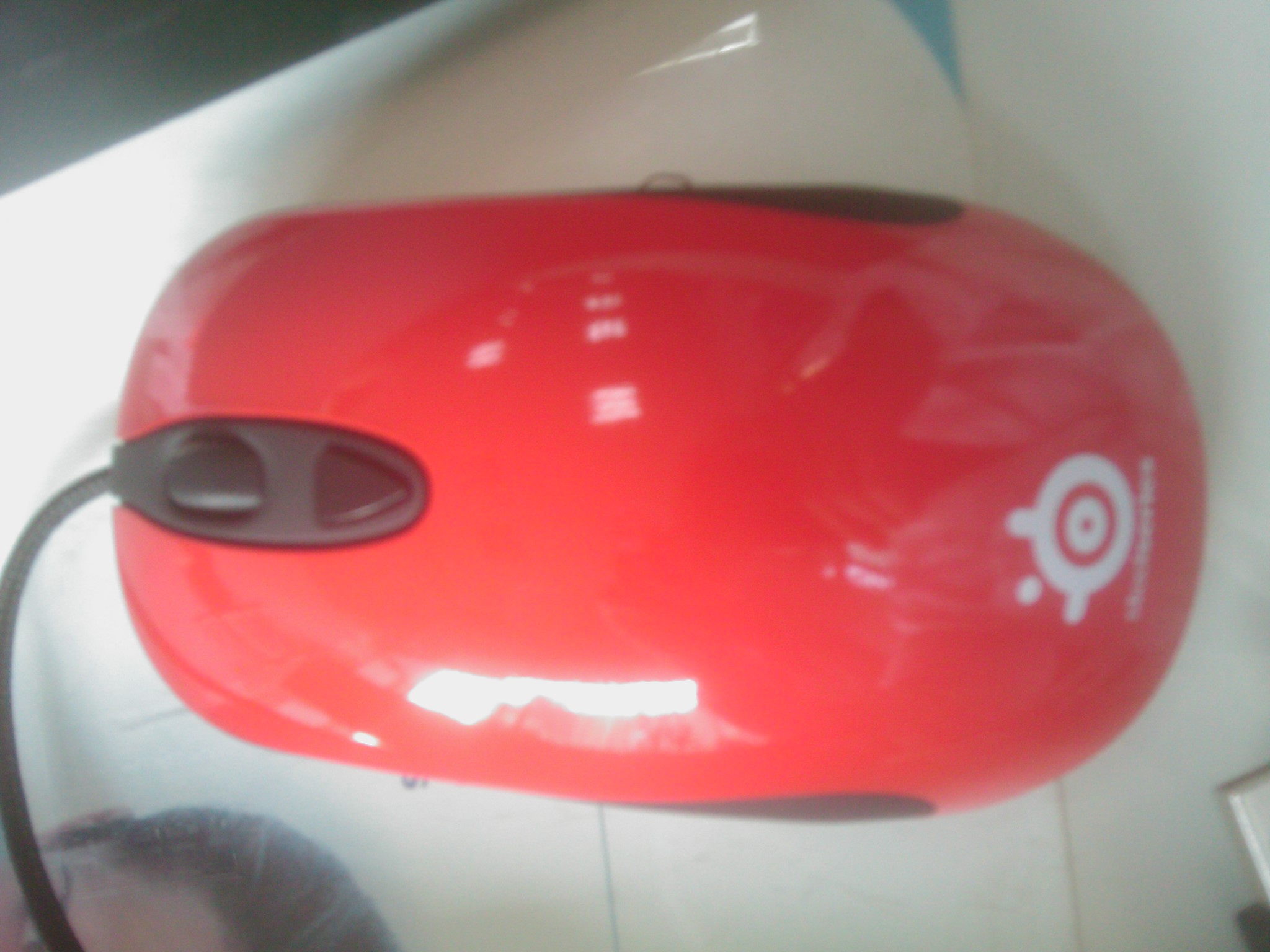 IMAG0237.jpg