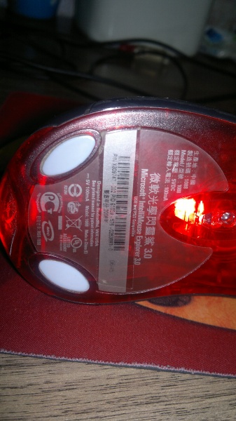 20101225008.jpg