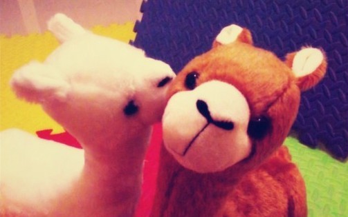 ��Ūǩ����