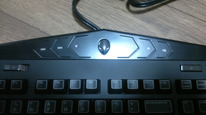 20101230017.jpg