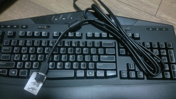 20101230021.jpg