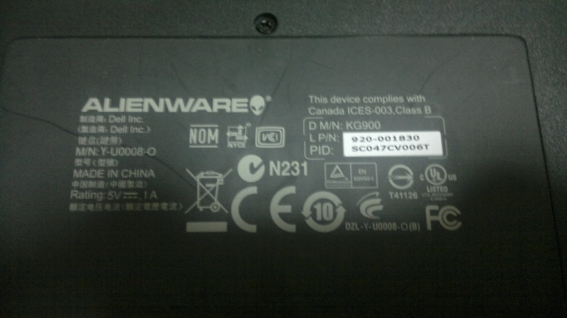 20101230029.jpg