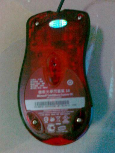 20101231176.jpg