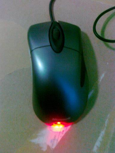 20101231184.jpg
