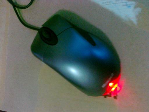 20101231182.jpg