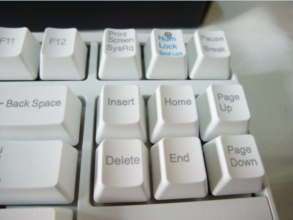 ԤDucky 1087 ɫᣨѳ