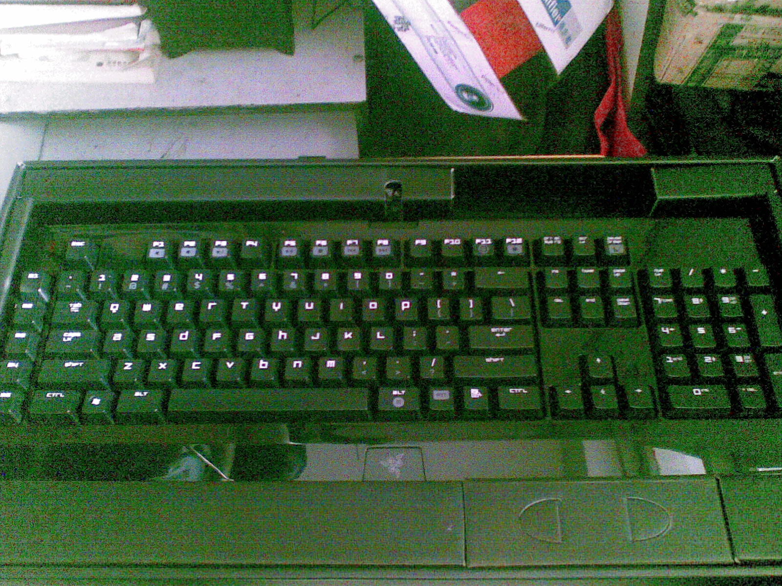 20110103_002.jpg